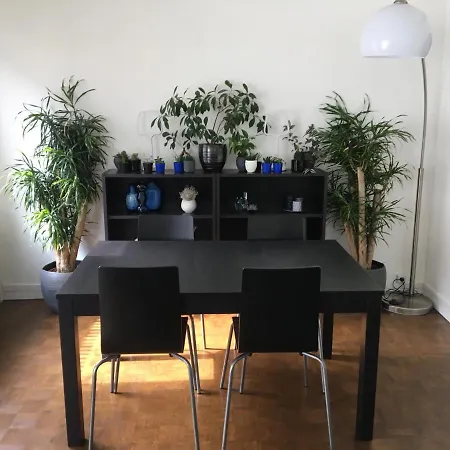 Apartment Hypercentre Lumineux - 2 Ch